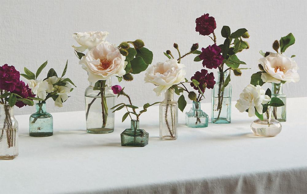 Book Review Discovering the Meaning of Flowers by Shane Connolly